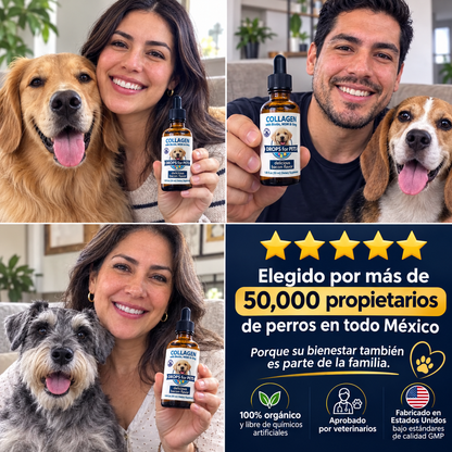 Dermacan - Suplemento Colágeno Perros