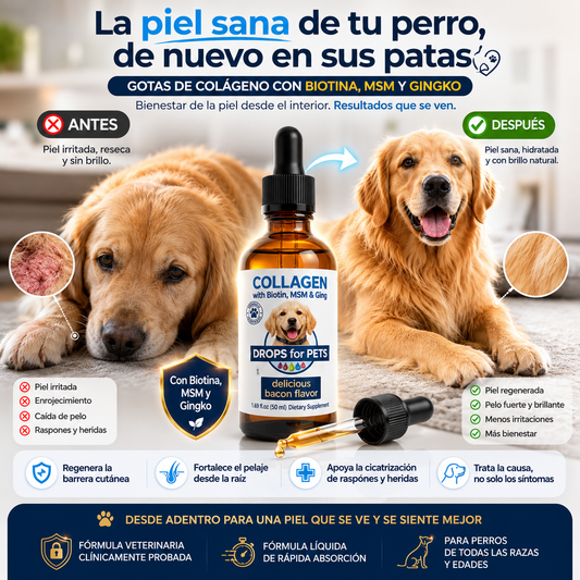 Dermacan - Suplemento Colágeno Perros