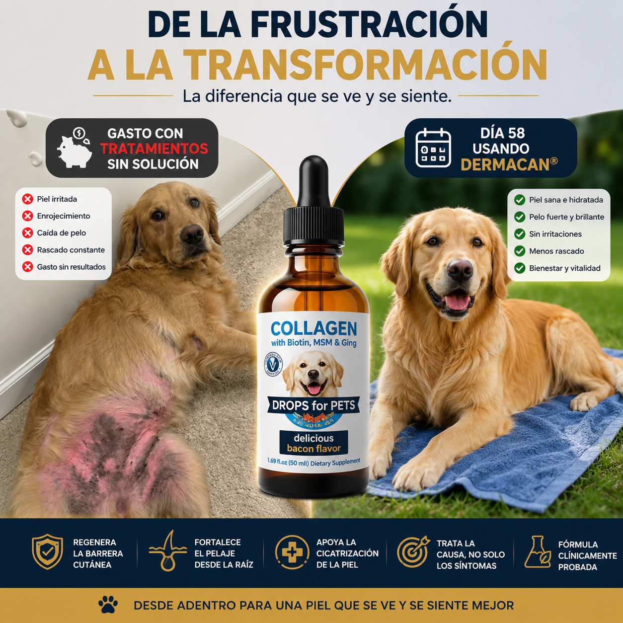 Dermacan - Suplemento Colágeno Perros