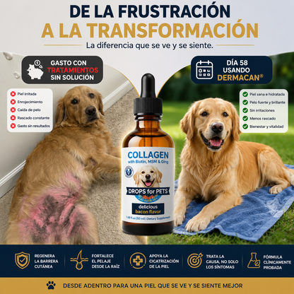Dermacan - Suplemento Colágeno Perros