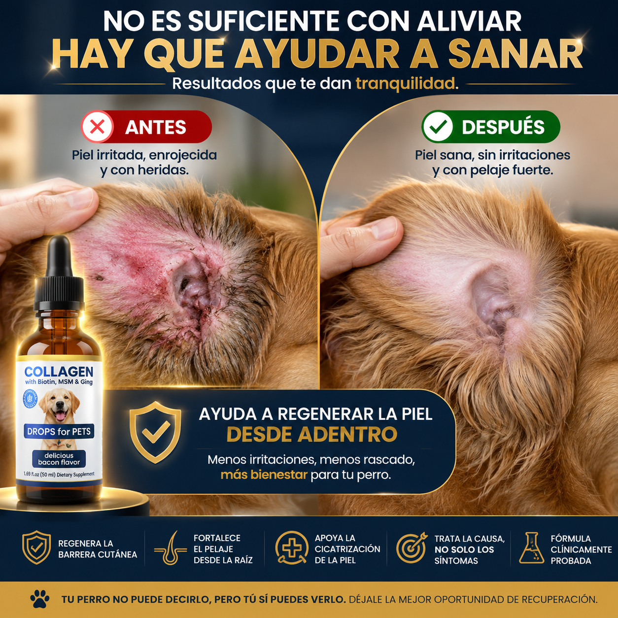 Dermacan - Suplemento Colágeno Perros